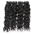 Easy Hair Best Indian Virgin Human Hair Water Wave 4pcs/lot - Easy Hair