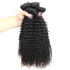 Easy Hair 10A Grade Unprocessed Brazilian Kinky Curly Virgin Human Hair 4 Bundles Weave - Easy Hair