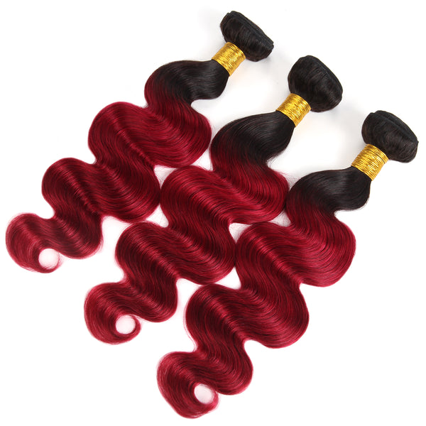 Easy Hair Malaysian T1B/99J Ombre Body Wave Virgin Human Hair Extensions 3 Bundles With 4x4 Lace Closure - Easy Hair