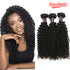Easy Hair Malaysian Curly Hair Unprocessed Virgin Human Hair 3 Bundles Natural Color - Easy Hair